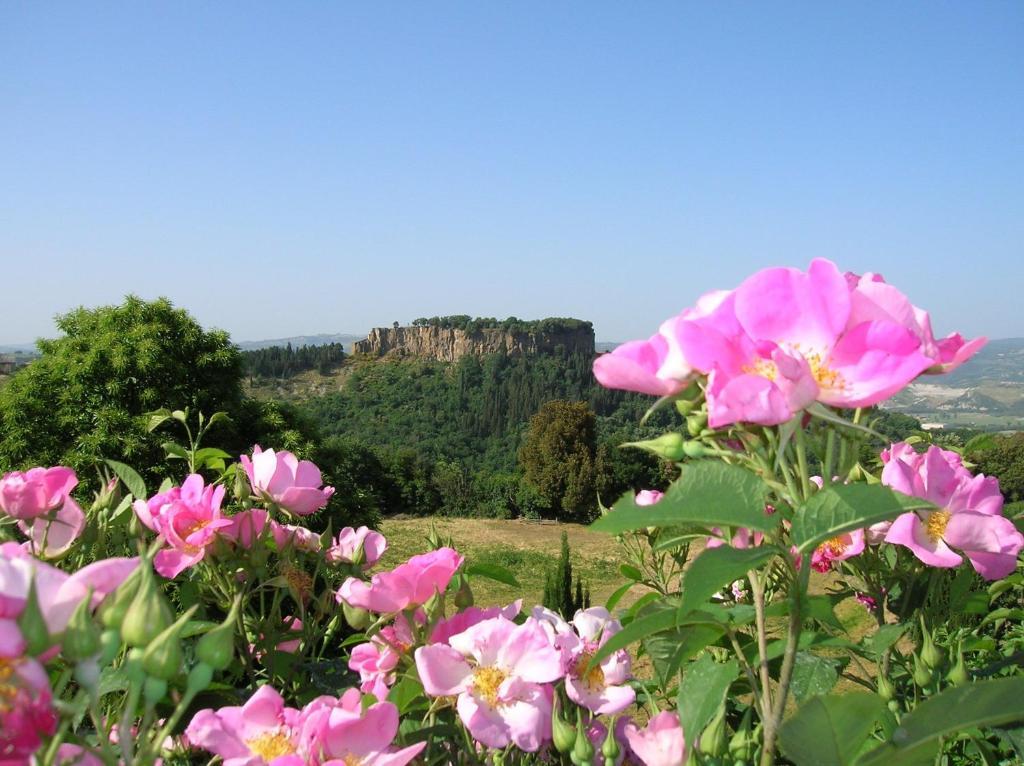 La Chiusetta Villa Orvieto Exteriör bild